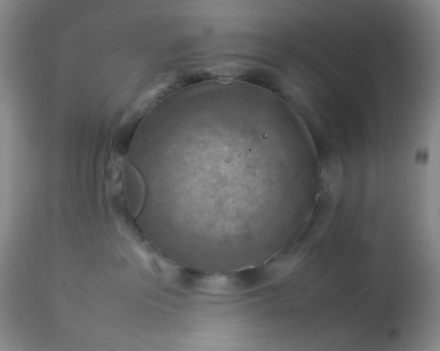 X0000113590237200910021724