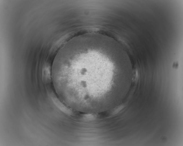 X0000113590238200910021724