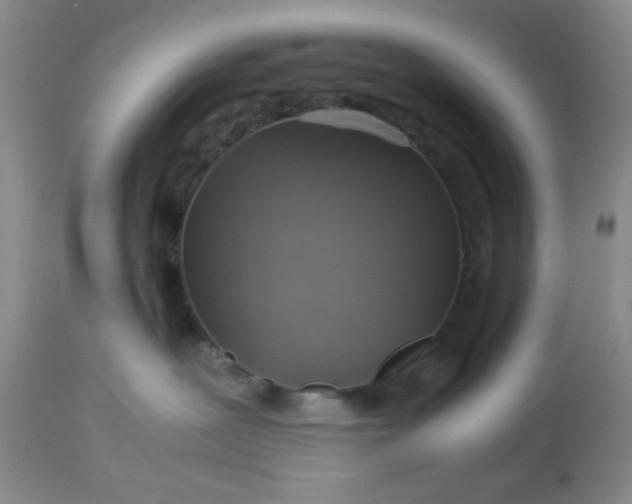 X0000113590239200910021724