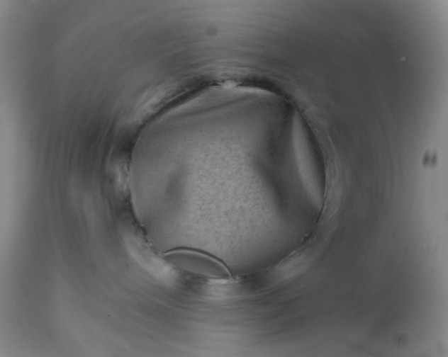 X0000113590240200910021724