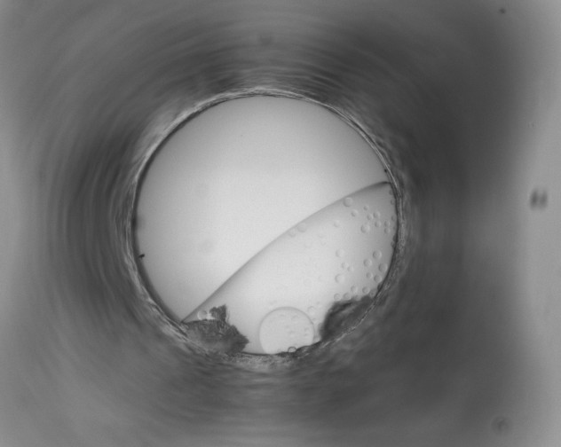 X0000113590241200910021724