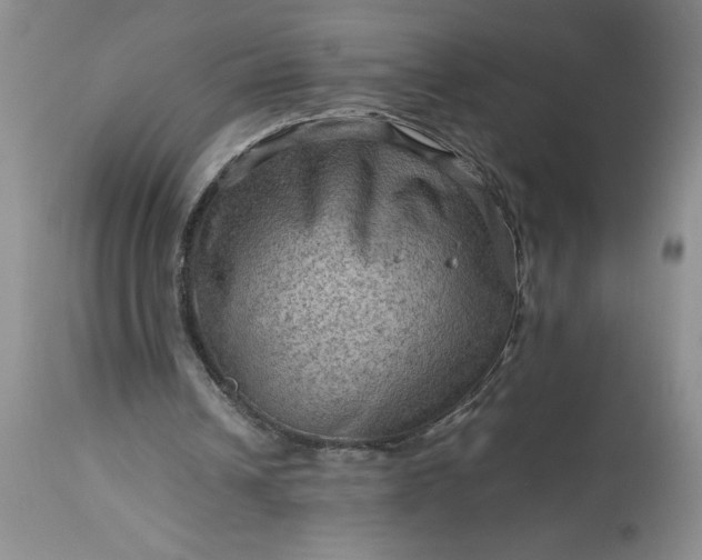 X0000113590242200910021724