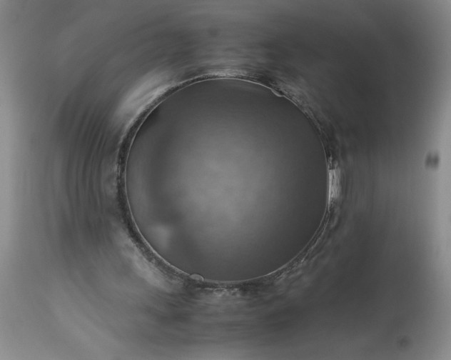 X0000113590243200910021724