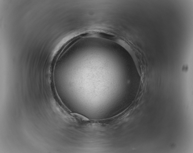 X0000113590244200910021724