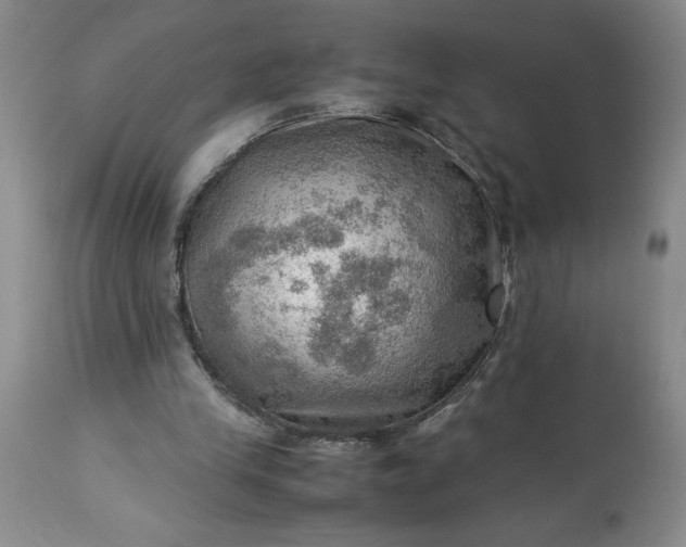 X0000113590245200910021724