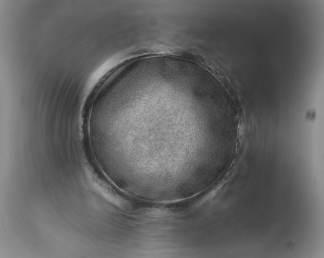 X0000113590246200910021724