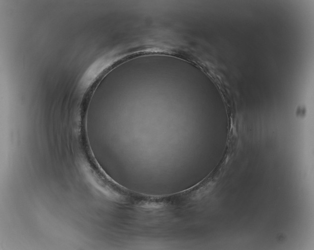 X0000113590247200910021724