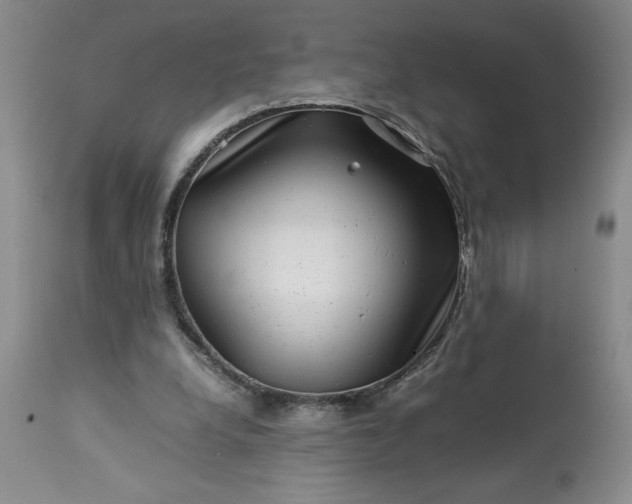 X0000113590248200910021724