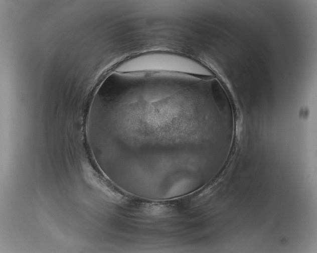 X0000113590249200910021724