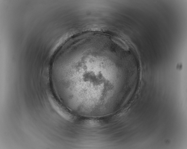 X0000113590250200910021724