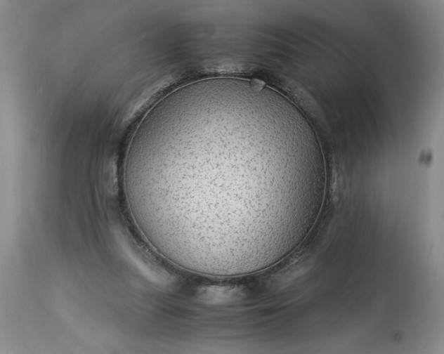 X0000113590251200910021724