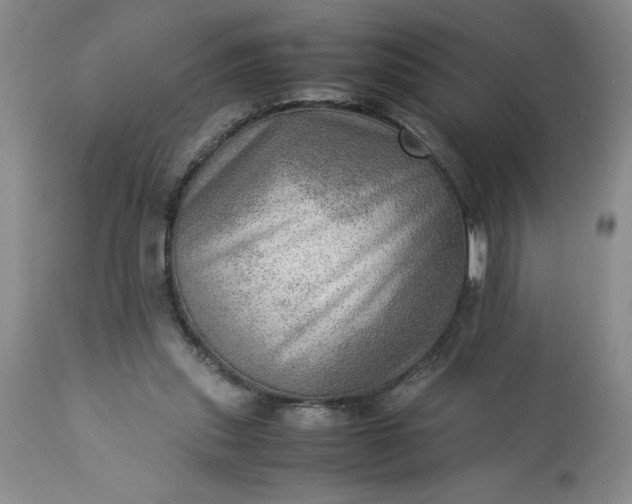 X0000113590253200910021724