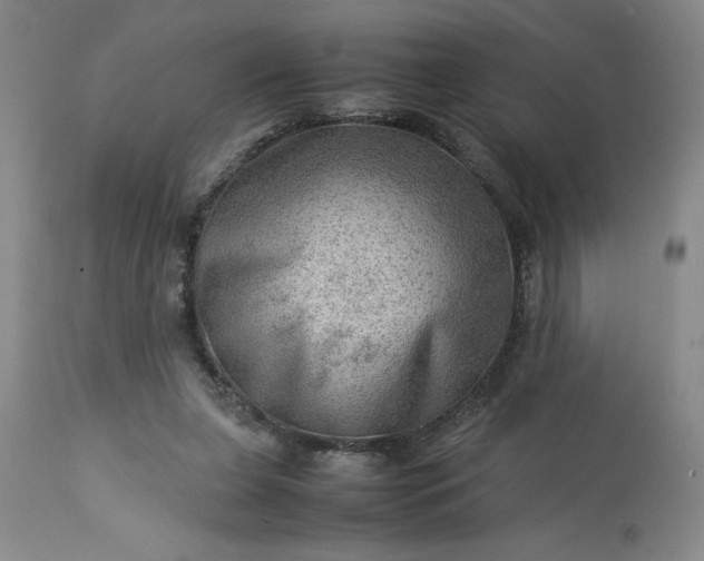 X0000113590255200910021724