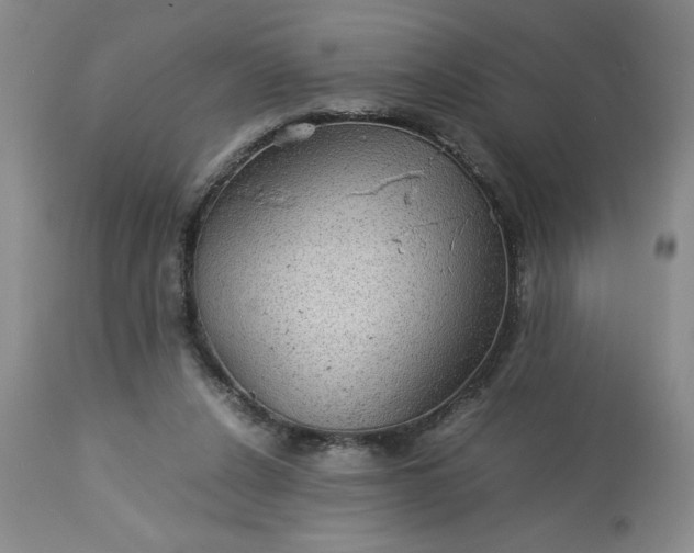 X0000113590256200910021724