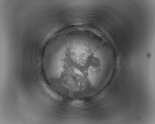 X0000113590257200910021724