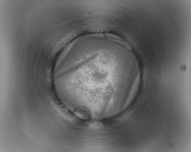 X0000113590258200910021724