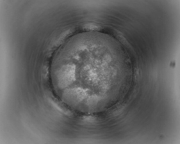 X0000113590259200910021724