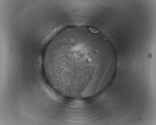 X0000113590260200910021724