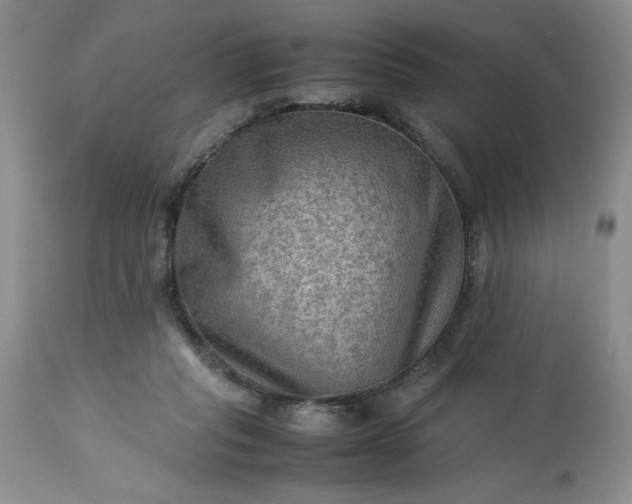 X0000113590261200910021724