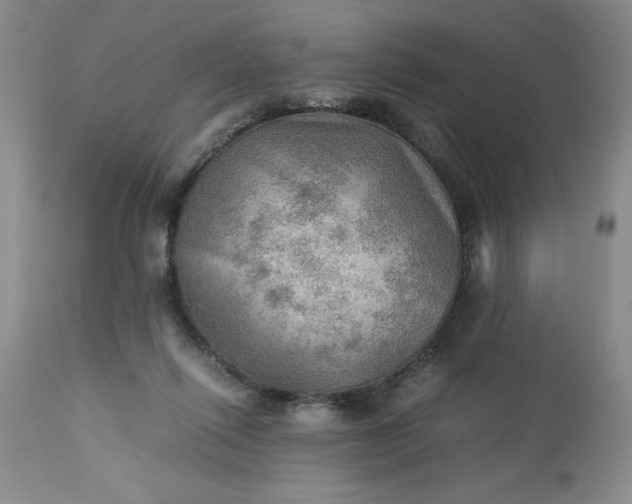 X0000113590262200910021724