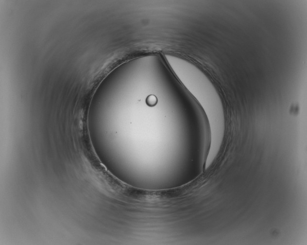 X0000113590264200910021724