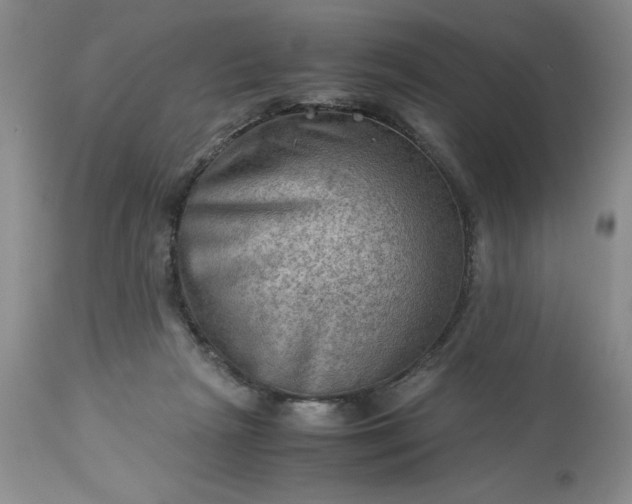 X0000113590265200910021724