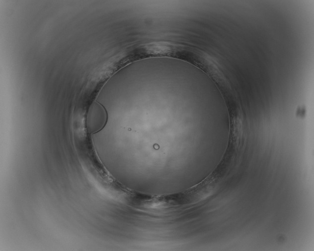 X0000113590267200910021724