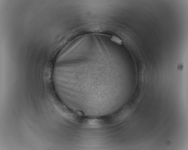 X0000113590268200910021724