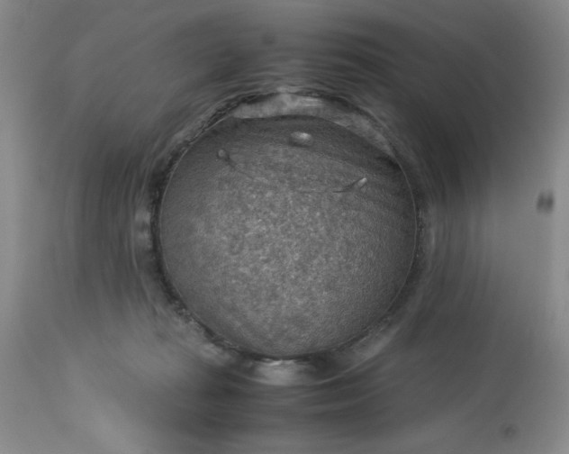 X0000113590269200910021724