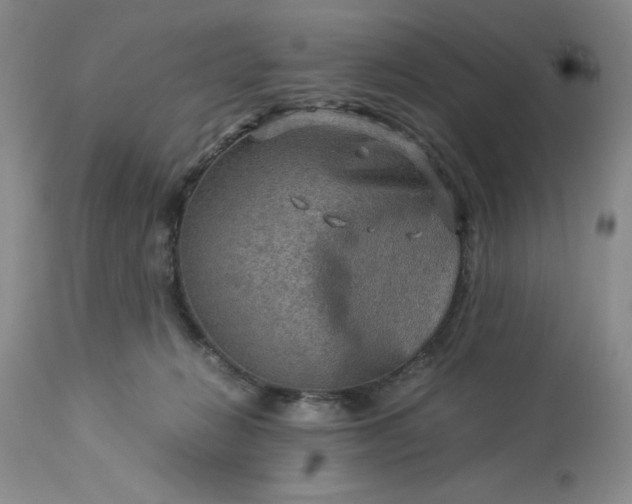 X0000113590270200910021724