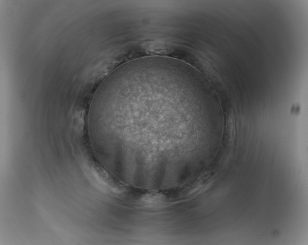 X0000113590271200910021724