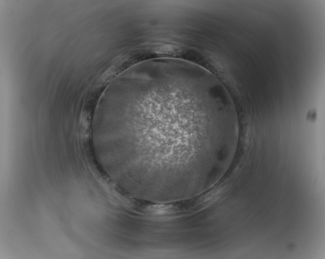 X0000113590273200910021724