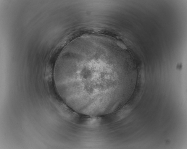 X0000113590274200910021724