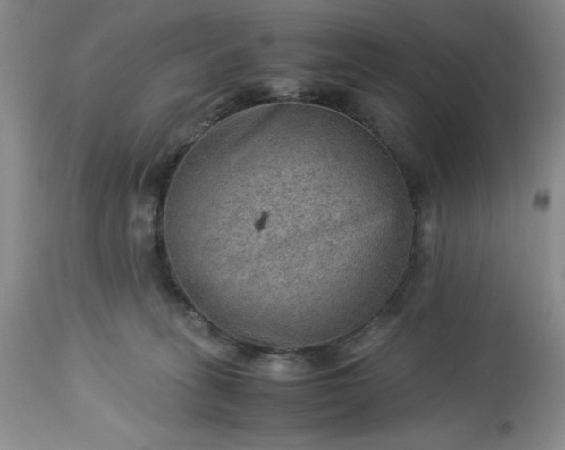 X0000113590275200910021724