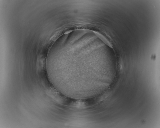 X0000113590276200910021724