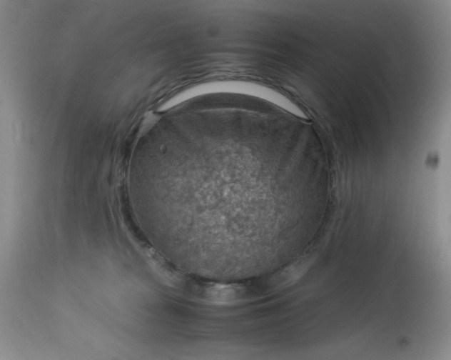 X0000113590277200910021724