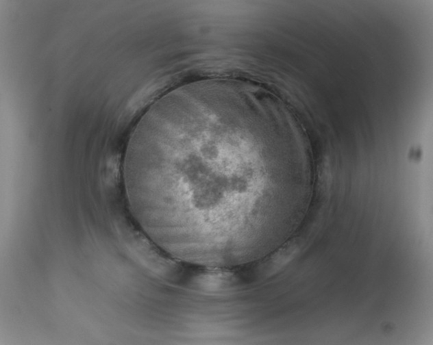 X0000113590278200910021724