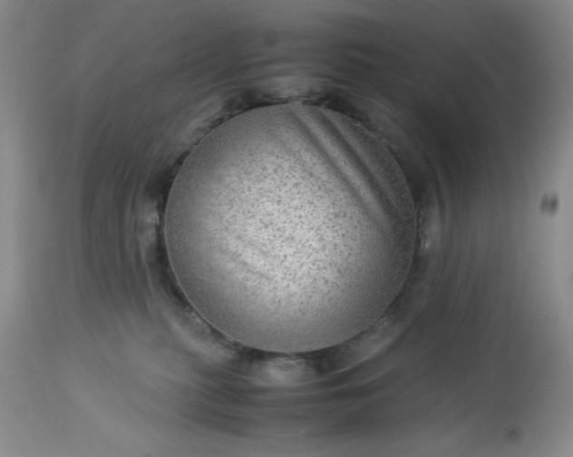 X0000113590279200910021724