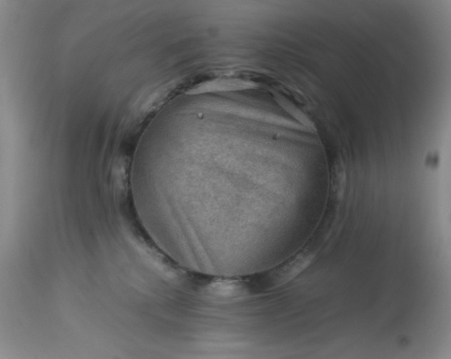 X0000113590280200910021724