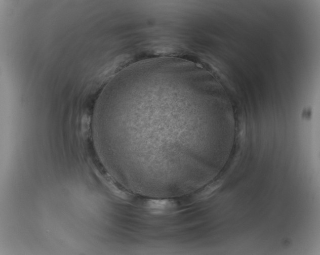 X0000113590281200910021724