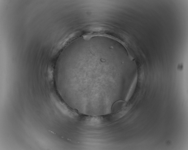 X0000113590282200910021724