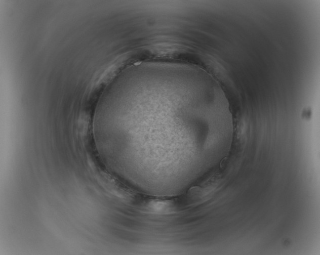 X0000113590283200910021724