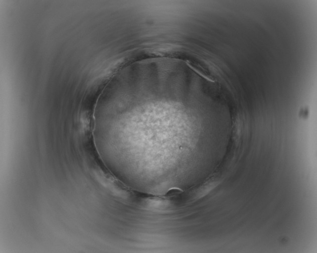 X0000113590284200910021724