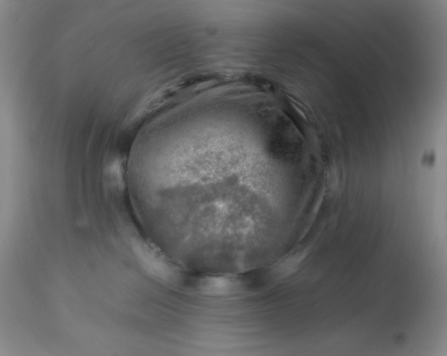 X0000113590286200910021724