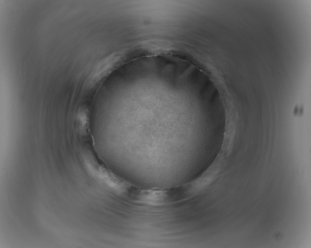 X0000113590288200910021724