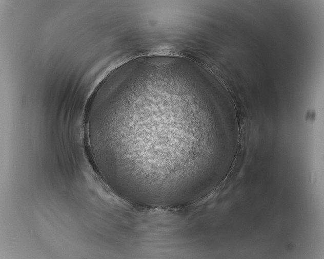 X0000113590290200910021724