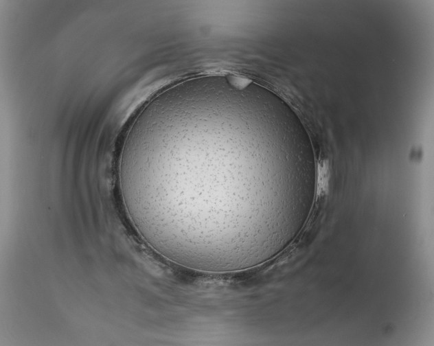 X0000113590291200910021724