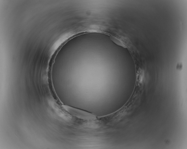 X0000113590292200910021724