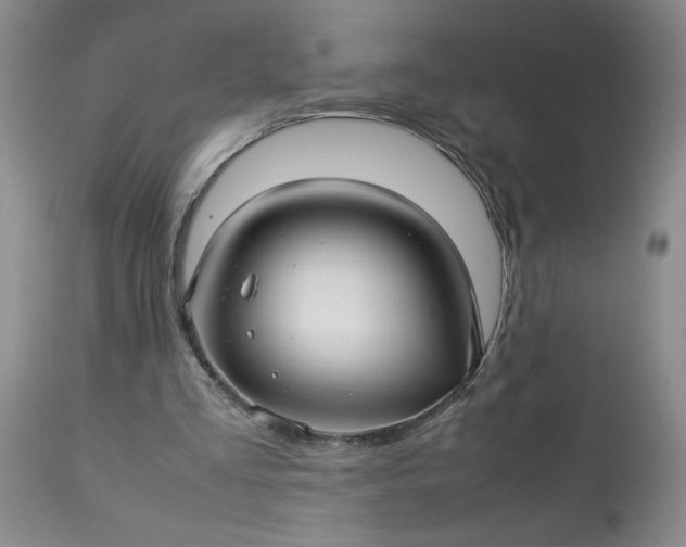 X0000113590293200910021724