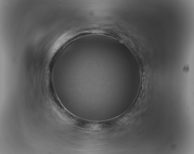 X0000113590295200910021724